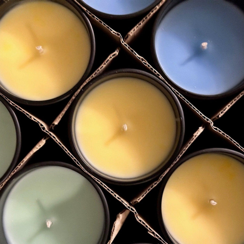 Black Reign - Legacy Single Wick Candle - Illuminare by MAD