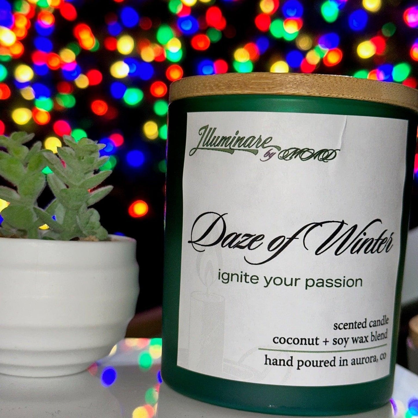 Daze Of Winter - Solstice Single Wick Candle - Illuminare by MAD